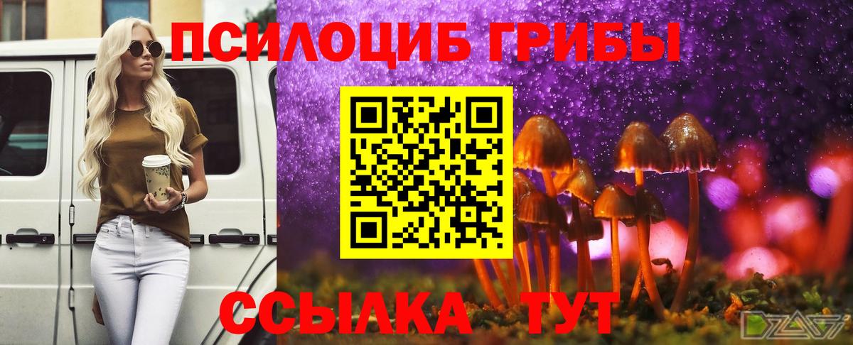 как найти закладки  Галлюциногенные грибы мицелий  Вход с VPN  Торжок 